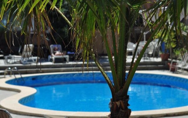 Celo Garden