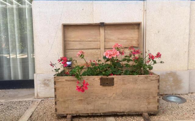 Hotel Patilla Ciudad de Requena