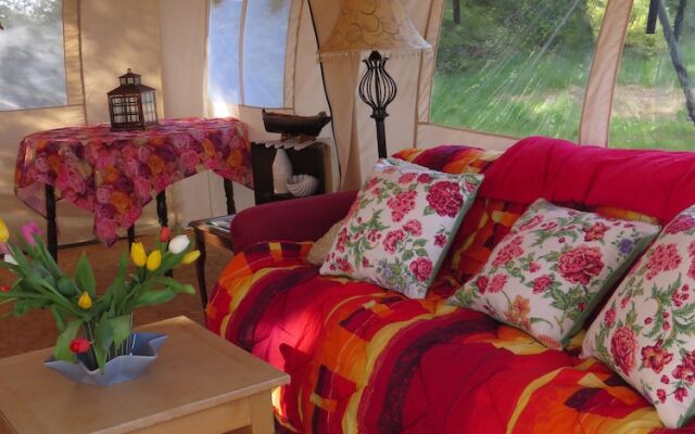 Shannon Estuary Glamping