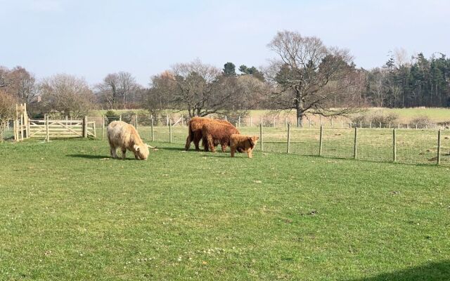 Orchard House Lodges