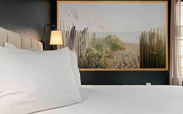 Cation on the Guadalupe