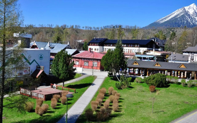 Vila Lomnička