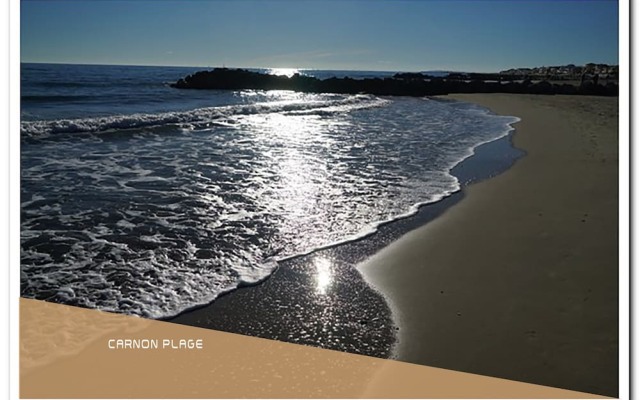 T2 - Moderne et culturel - La Conciergerie Martinkey's