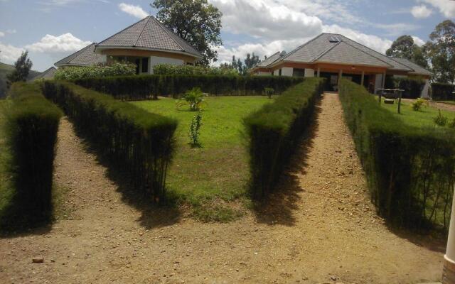 The Crested Crane Bwindi