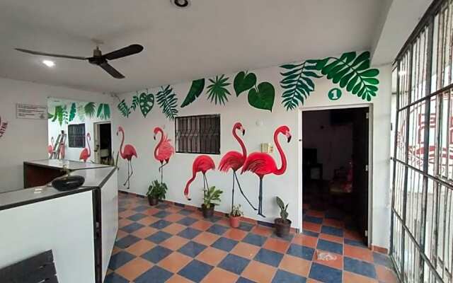 Habitaciones Rosymar