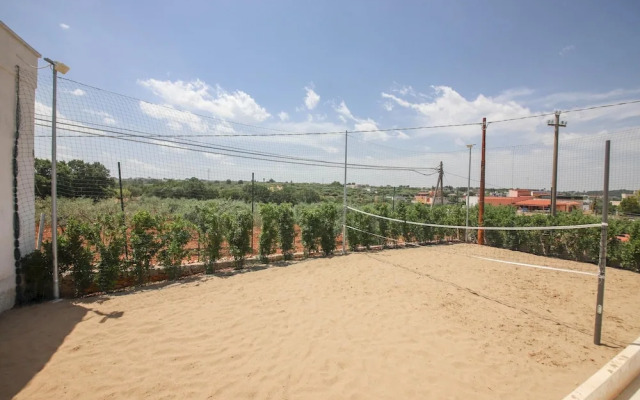 B B D Aprile Camera Tulipano