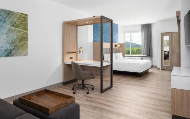 SpringHill Suites Roanoke North