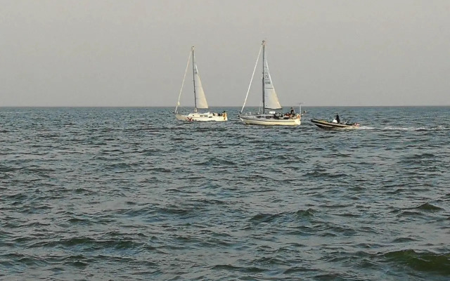 Taikos 24-7a