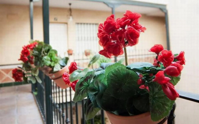 HSH Suites Corrala Triana