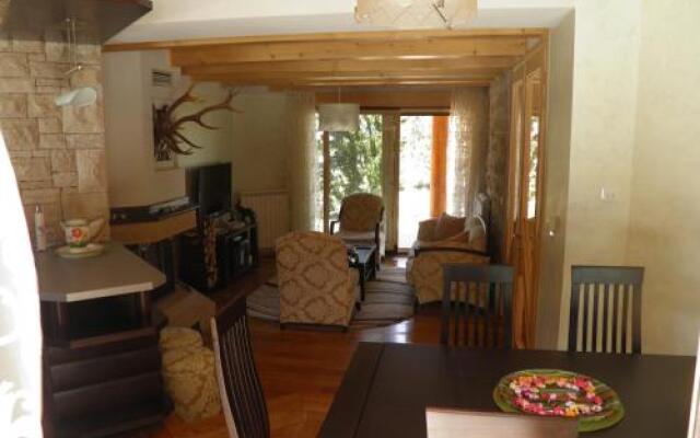 Chalet Villa Radulovic