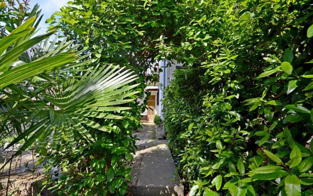 Rooms Summer Tree