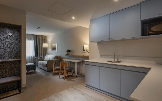 Holiday Inn & Suites Aguascalientes by IHG
