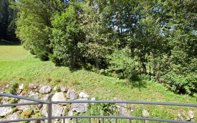 Apartment in Kleinarl, Salzburg With Wellness Area