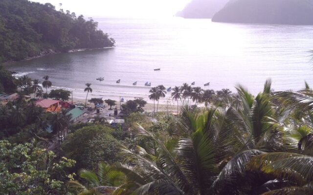 Maracas Bay View