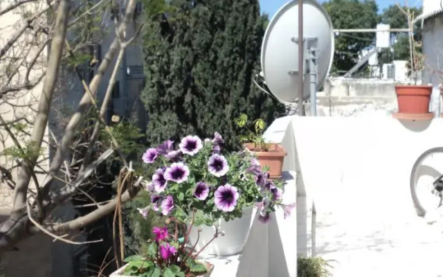 Amazing Rooftop on Dizengoff