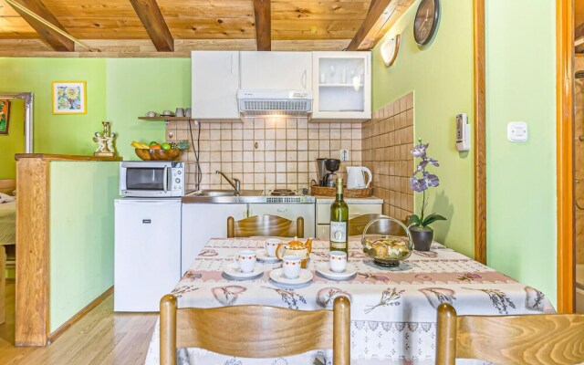 Stunning Home in Kanfanar With Wifi