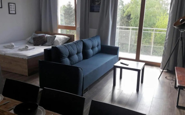 Silver Apartment in Wilanów