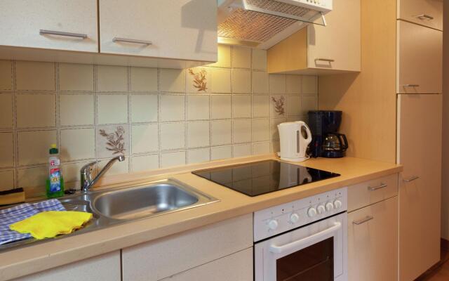 Modern Apartment in Reinhardtsdorf-Schona near Ski Slopes