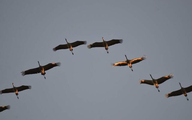 Feriendomizil Am Hafen