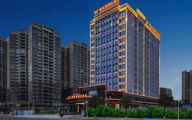 Vienna International Hotel (Heyuan Dongyuan Wanda)
