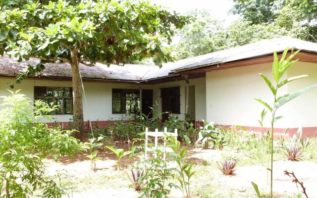 Tarantula Hostel