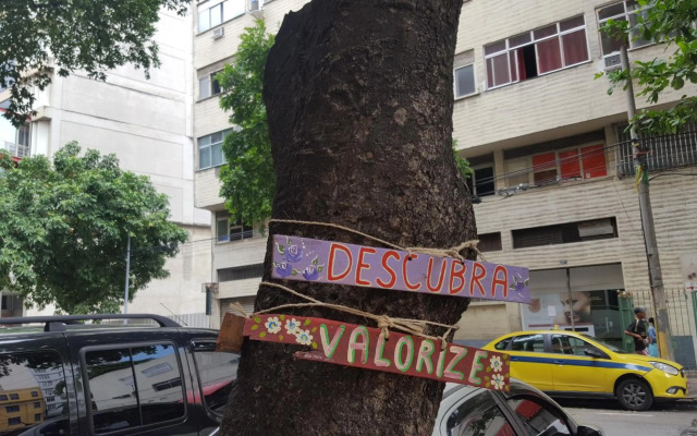 Samba Studio - Alma Carioca