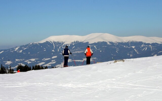 Comfortable Chalet in Klippitztorl Austria Near Ski Area