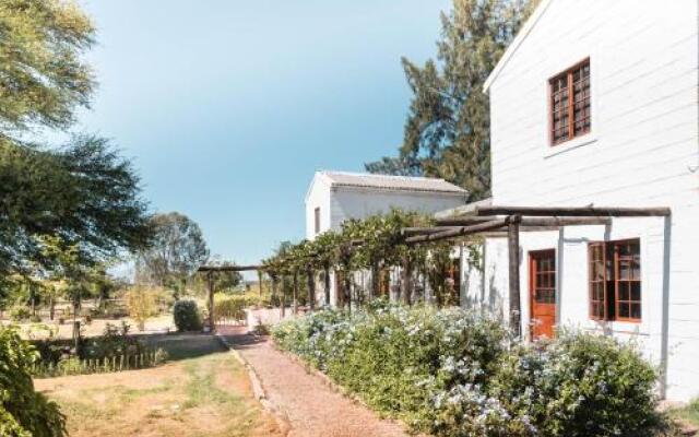 Boerfontein - Home of Olivision