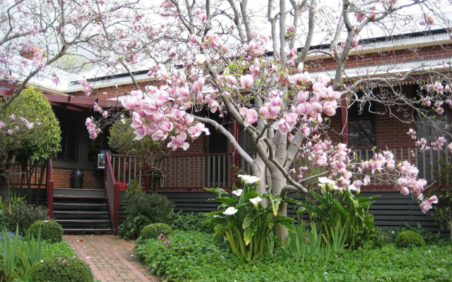 Finches of Beechworth