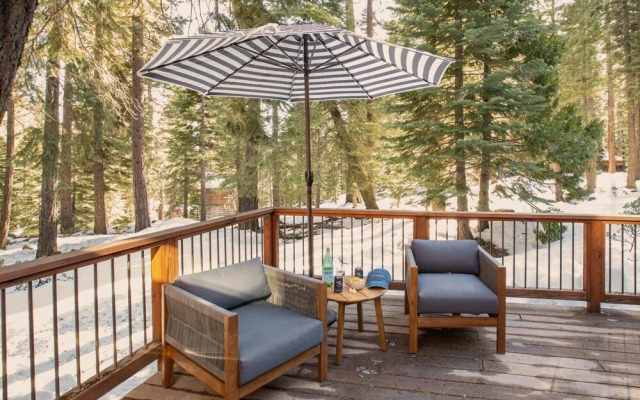 Sahara Drive- Polaris