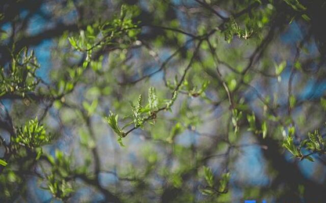 Youshe Theme Apartment (Wanda Plaza)