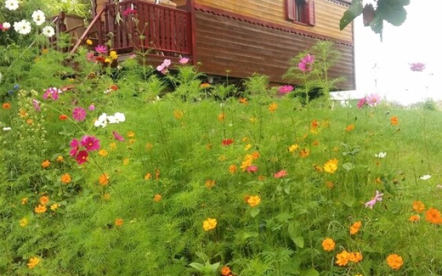 Bungalow With one Bedroom in Nouic, With Furnished Garden