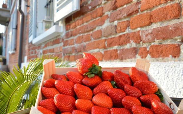 Bed & Tours Dimora di campagna