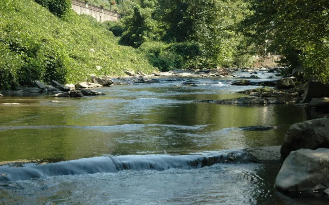 River Dream 466 By Redawning