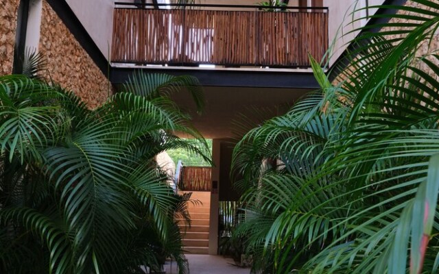 Tuluna Pb A-25 By Lockey