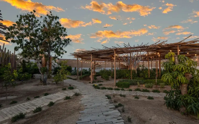 El Perdido Desert Dream - Todos Santos Adults Only