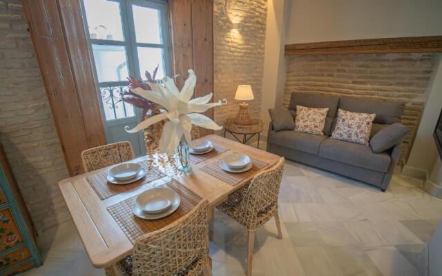 Casas de Sevilla - Apartamentos Vidrio 7