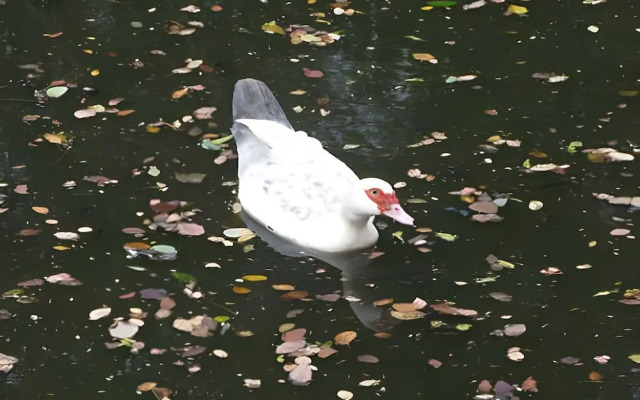 Casa aconchegante e bem localizada