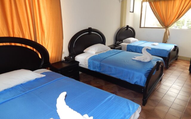 Flightless Cormorant