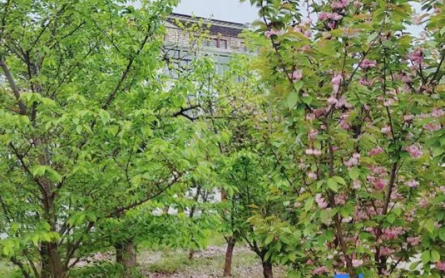 Tai Lake San Shan Island Fortune Homestay