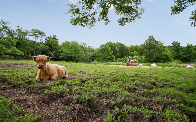 Lehnsgaard Ranch