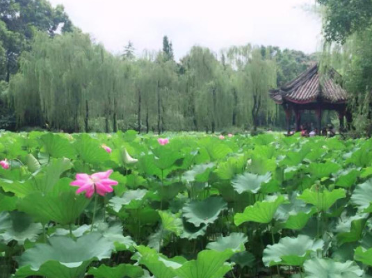 7Days Inn Chengdu Xindu Baoguang Temple