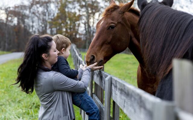 The Lodge at Primland, Auberge Collection