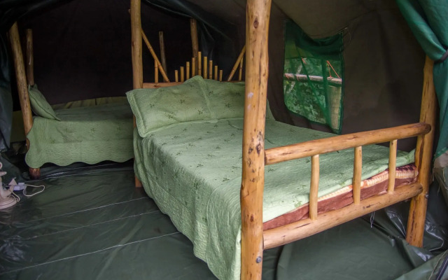 Roots Retreat and Camping Resort
