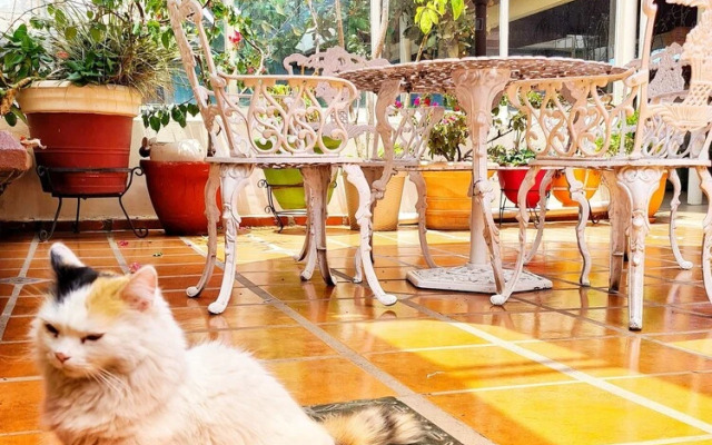 Hotel Barrio Antiguo