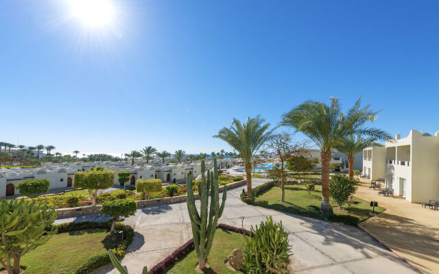 Reef Oasis Beach Resort