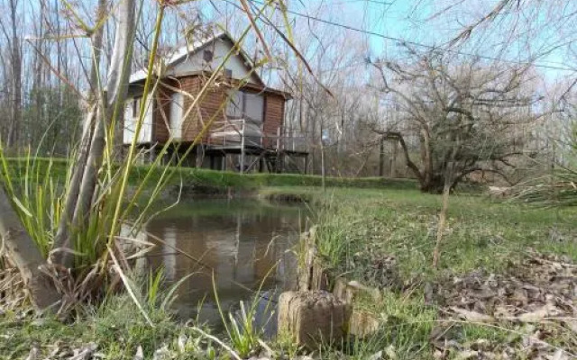 Zarzamora Cabaï¿½as