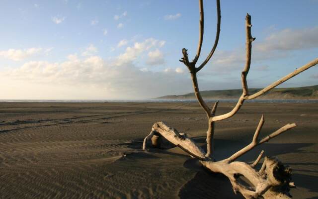 Port Waikato Holiday Park