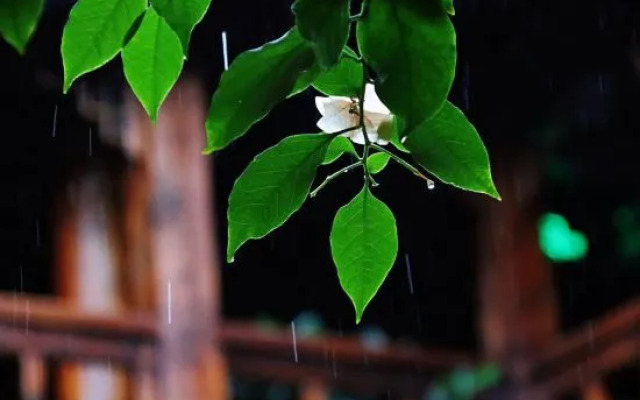 Zi Teng Yuan Inn