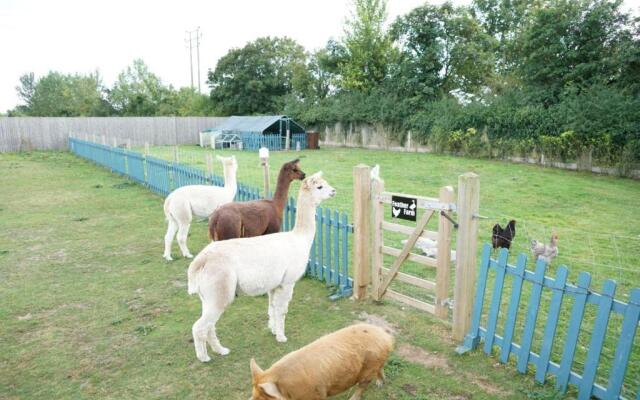 The Piggery Pod